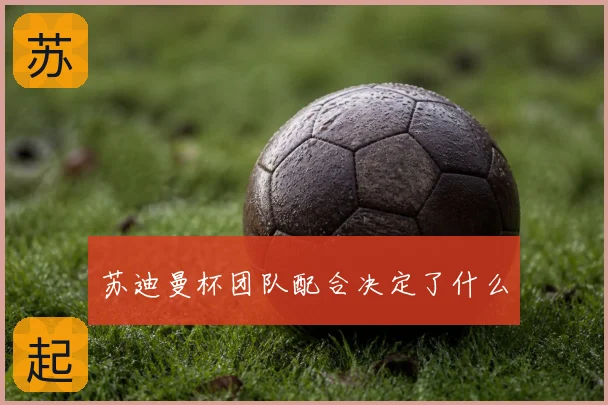 苏迪曼杯团队配合决定了什么