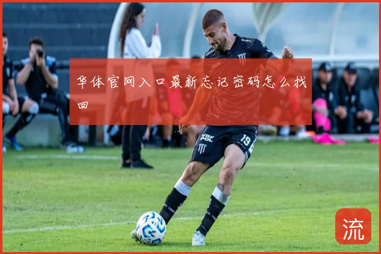华体官网入口最新忘记密码怎么找回