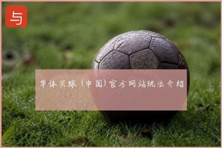华体买球 (中国)官方网站玩法介绍
